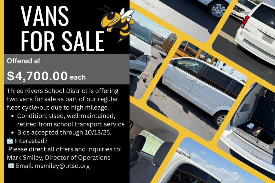 Vans for Sale